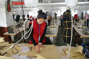 学院成功举办潍坊市职业院校服装制作与模特表演 农机具维修技能大赛